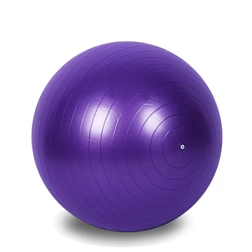 Gimnasztikai labda ( fitball ) 55 cm