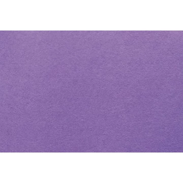 Kemény filclap - lila