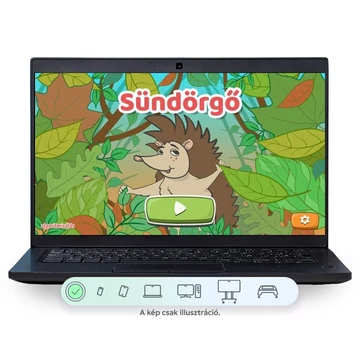 Sündörgő - felsős programozás oktatási szoftver