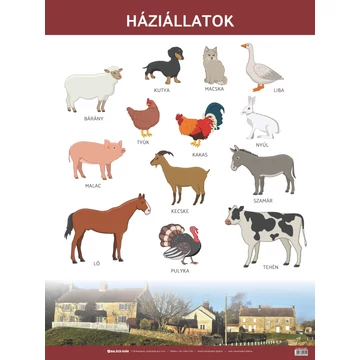 Állatok tabló - háziállatok