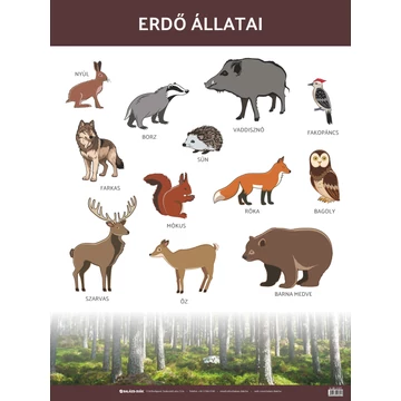 Állatok tabló - erdő