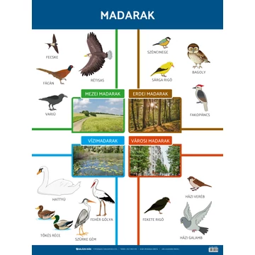 Állatok tabló - madarak