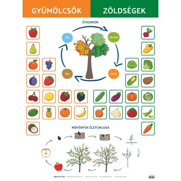 Gyümölcs-zöldség tabló