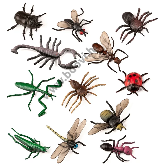 Ízelt lábúak, 12 figura