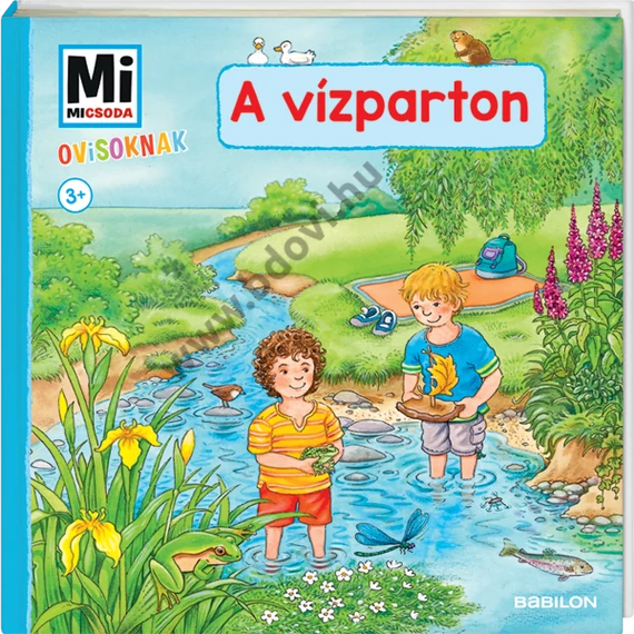 Mi MICSODA Ovisoknak – A vízparton