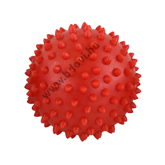 Tüskelabda - 9 cm