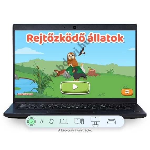 Rejtőzködő állatok - képességfejlesztő oktatási szoftver