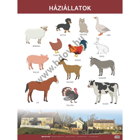 Állatok tabló - háziállatok