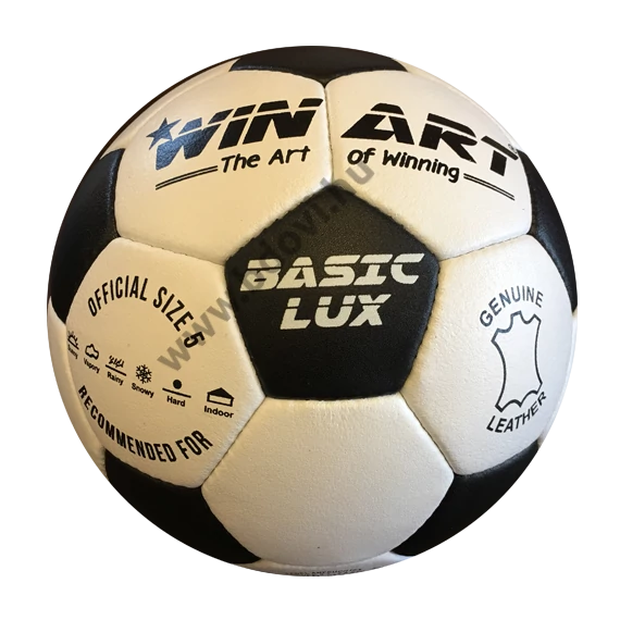 Basic Lux - futball labda No. 5